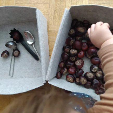 Spielidee: Kastanien Sortieren für Kleinkinder