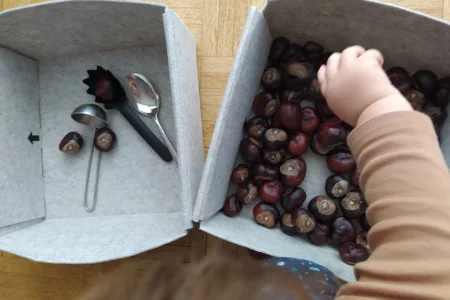 Spielidee: Kastanien Sortieren für Kleinkinder